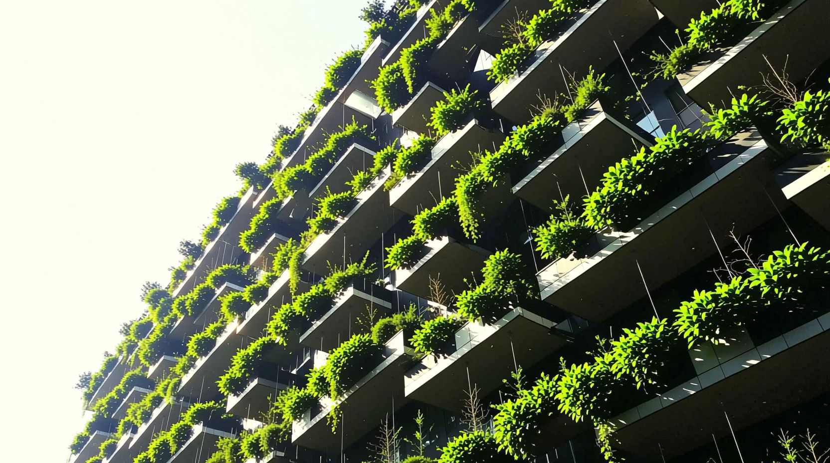 Вертикальные Сады: Зеленый Оазис в Вашем Доме